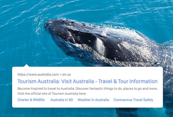 Hervey Bay Whale Watching, Hervey Bay, QLD © Matthew Taylor/Tourism and Events Queensland