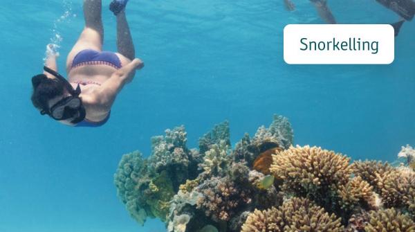 Snorkelling at Lady Musgrave Island, Great Barrier Reef, Queensland © Tourism and Events Queensland
